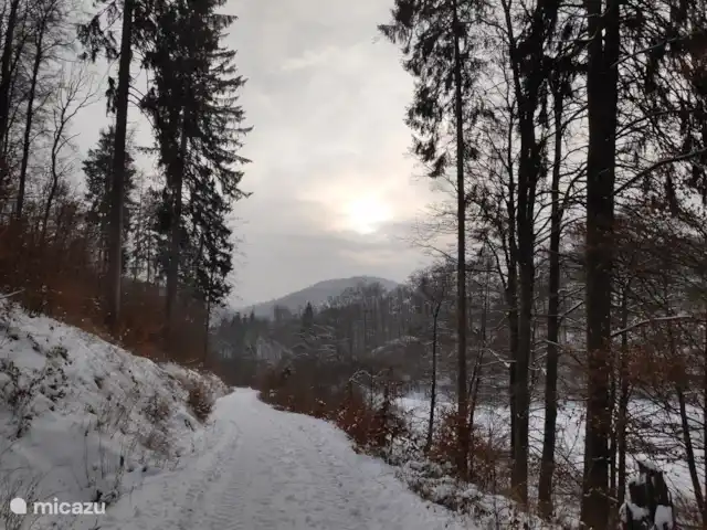 Wieda en Alemania, Baja Sajonia, Wieda - casa vacacional