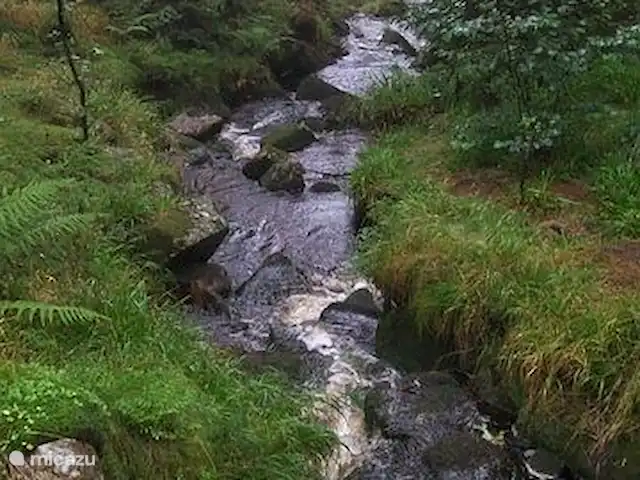 Wieda en Alemania, Baja Sajonia, Wieda - casa vacacional