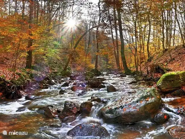 Wieda en Alemania, Baja Sajonia, Wieda - casa vacacional