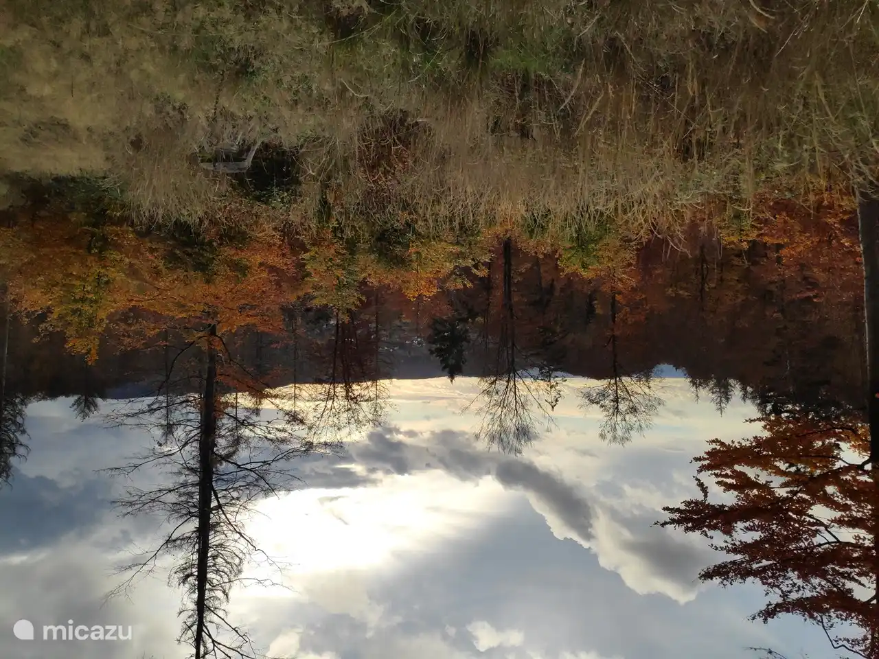 View of Wieda from the mountain behind the holiday home with beautiful autumn colors.
