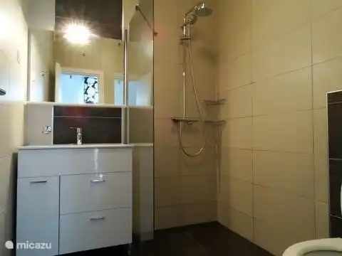 Das Badezimmer im Hauptschlafzimmer mit ebenerdiger Dusche, Toilette und Waschbecken.