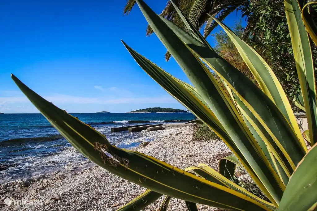 Entlang des Wassers.