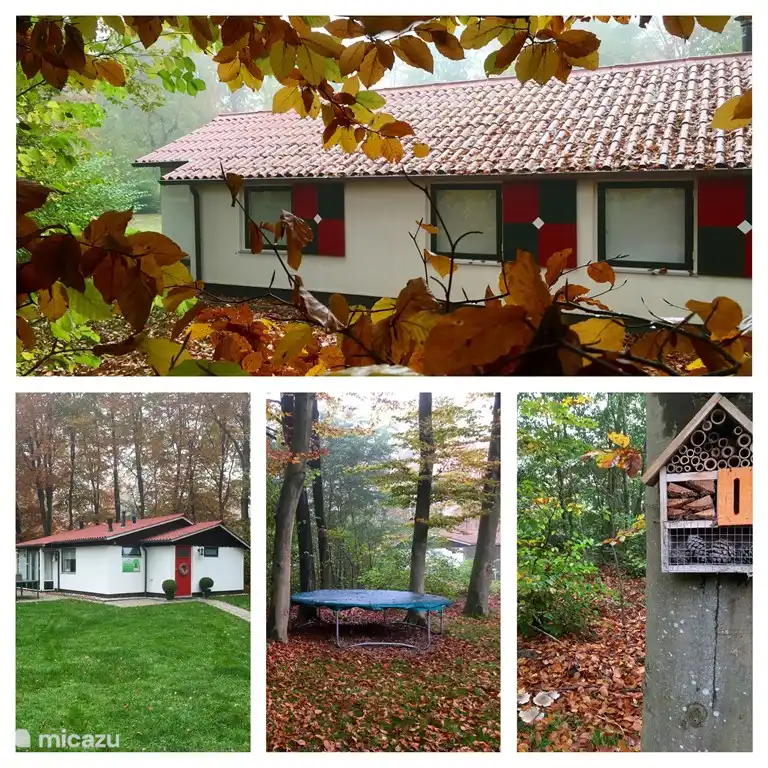 Impression d'automne à Exloo....