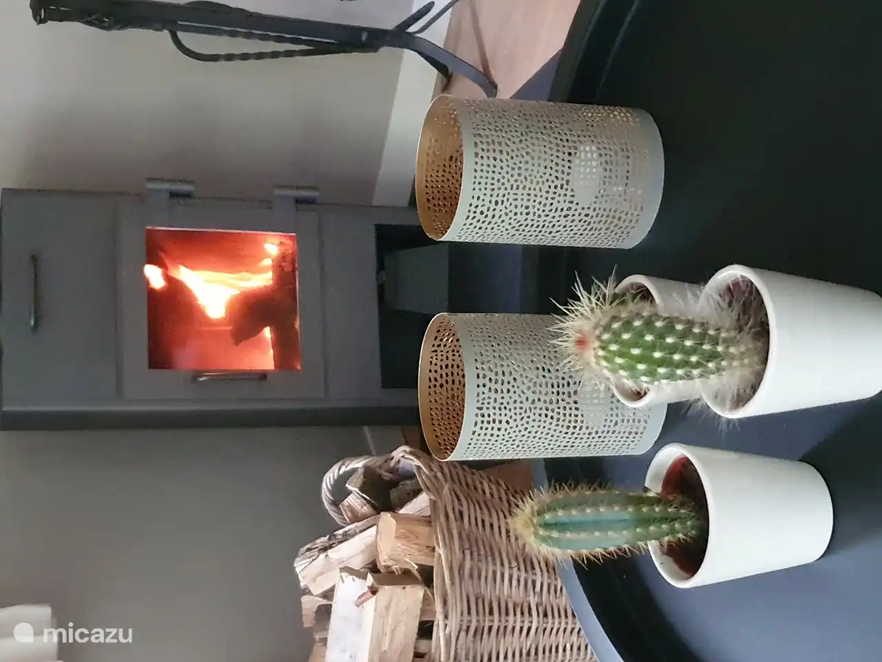 ambiance feutrée...