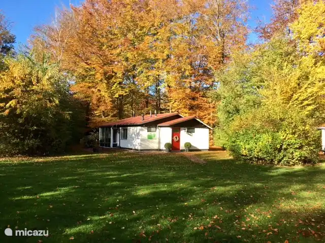Une vue du bungalow. Cela montre à quel point la vue est dégagée à l'avant.