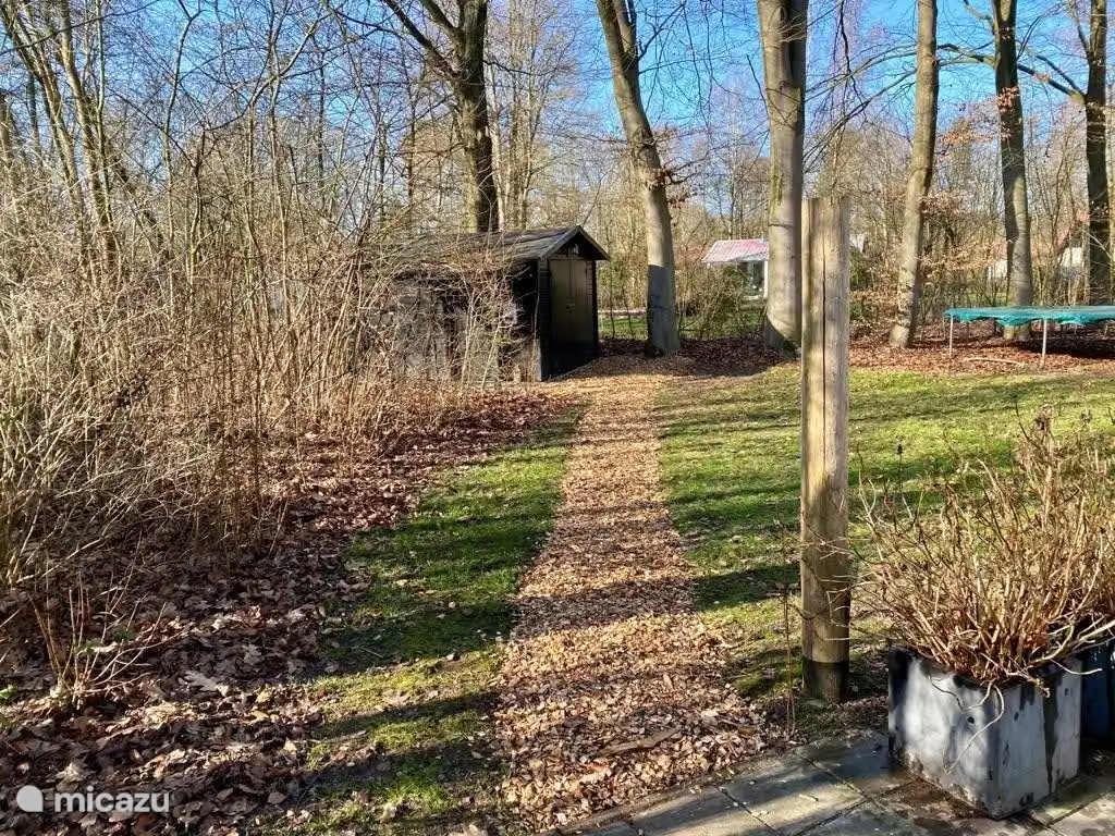 Le trampoline et le cabanon au fond du jardin.
