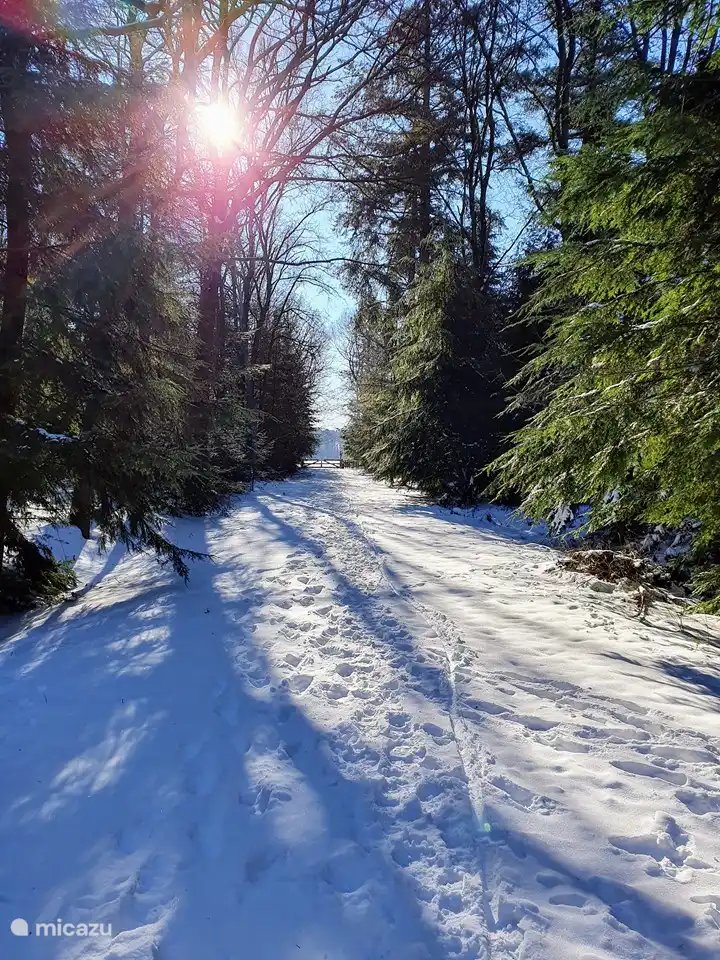 Eh bien... tout simplement magnifique