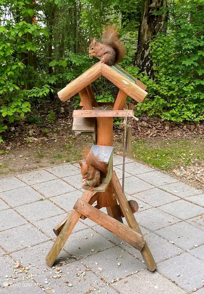 Quelle photo hein...