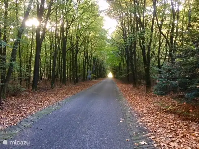 Le chemin vers la tour de guet / salon de thé Pools Hoogte La tour de guet se dresse sur le barg de sang et mesure 20 mètres de haut. Ici, vous pouvez profiter d'une belle vue sur le Hondsrug.
