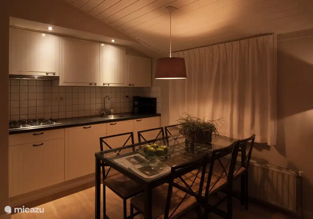 La cuisine avec lave-vaisselle/réfrigérateur