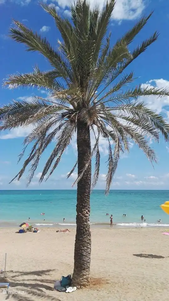 Vinaros Strand, 10 km von unserer Unterkunft entfernt.