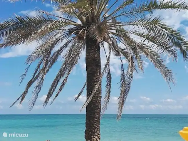 Villa Bella Orange | Espagne, Costa del Azahar, Calig - maison mitoyenne Plage de Vinaros, à 10 km en voiture de notre maison.
