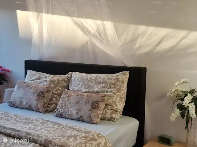 Villa Bella Orange | Espagne, Costa del Azahar, Calig - maison mitoyenne Enfin les nouvelles photos des nouveaux lits, toutes les chambres disposent désormais d’un éclairage avec ventilateur et de moustiquaires au-dessus du lit.
Pour encore plus de confort