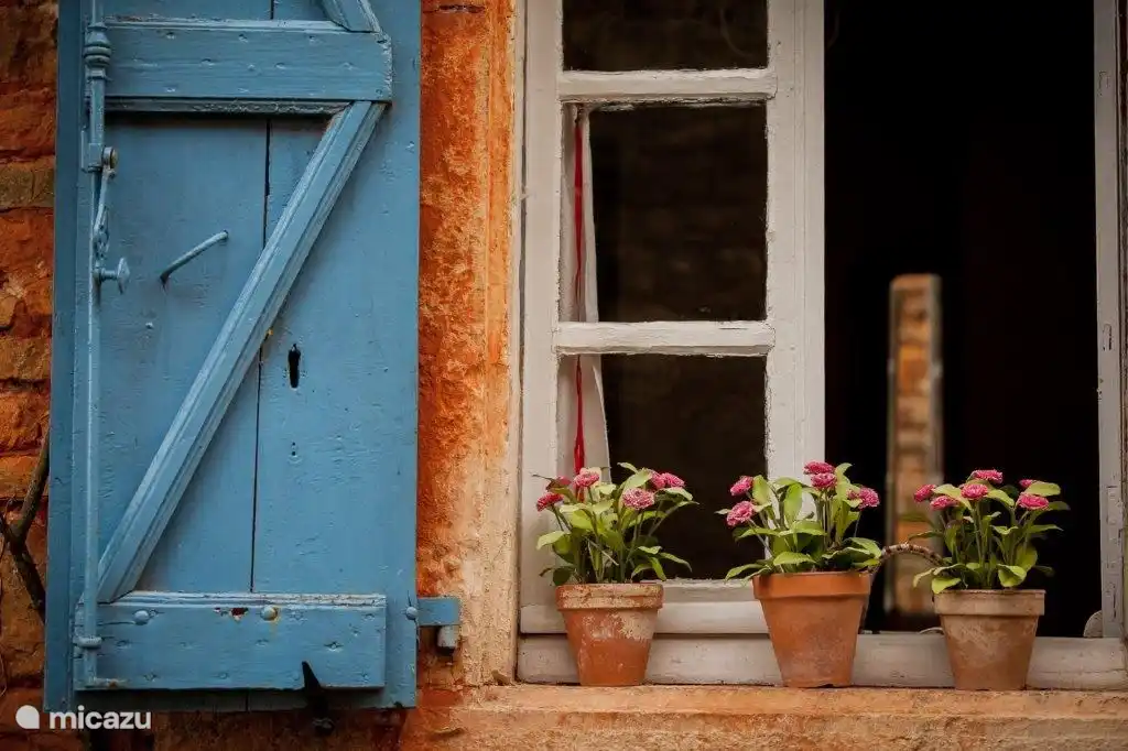 Blumentöpfe im Fensterrahmen