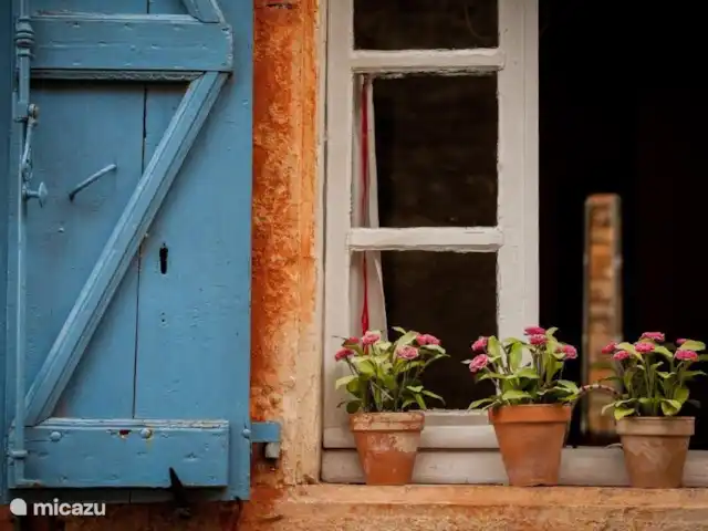 Pomette | France, Dordogne, Stupide - maison de vacances Pots de fleurs dans le cadre de la fenêtre