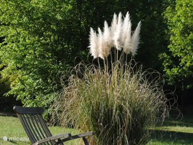 Bouyssonnet huren in Frankrijk, Lot, Lachapelle-Auzac - vakantiehuis De tuin