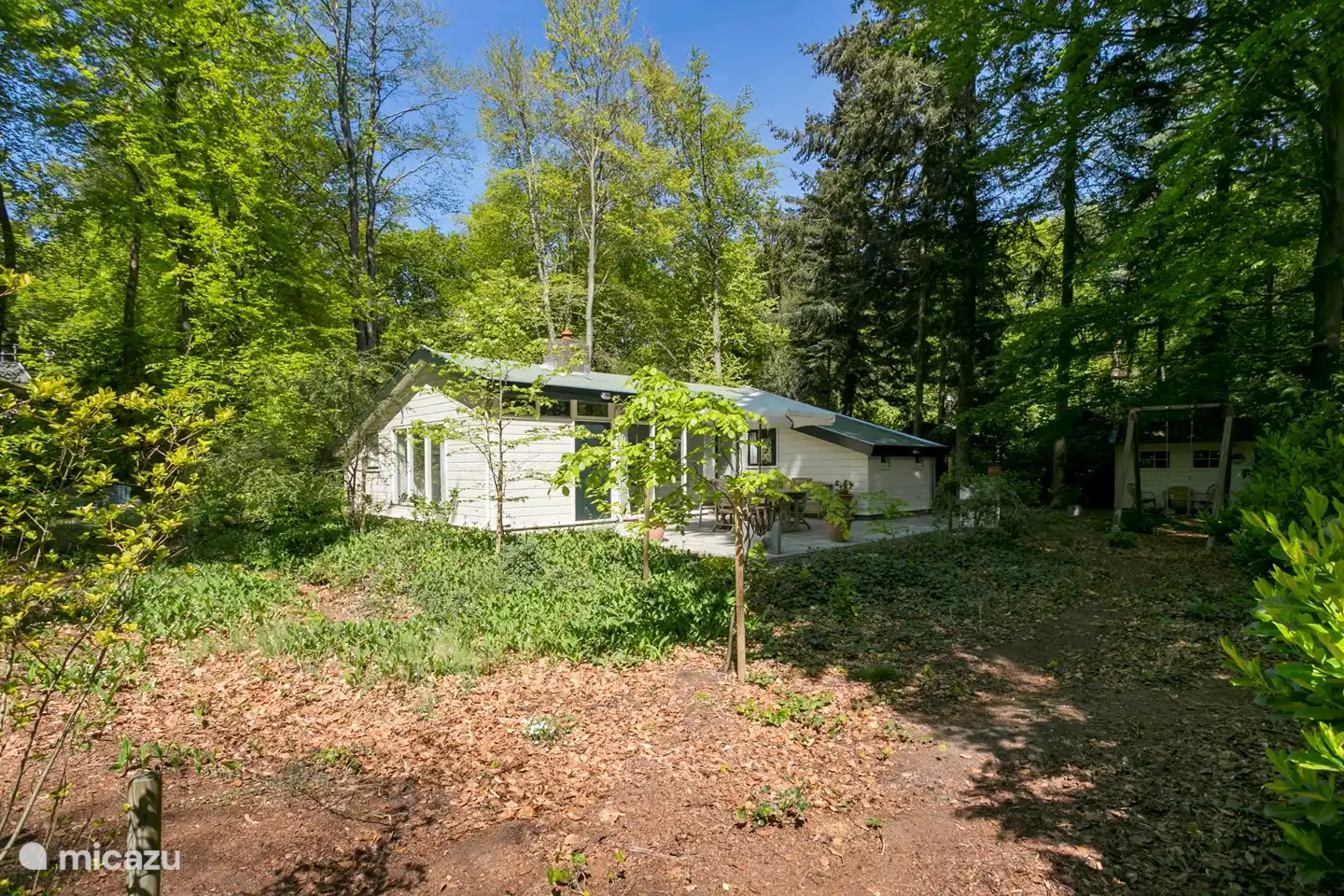 Ein Überblick über die Rückseite des Gartens