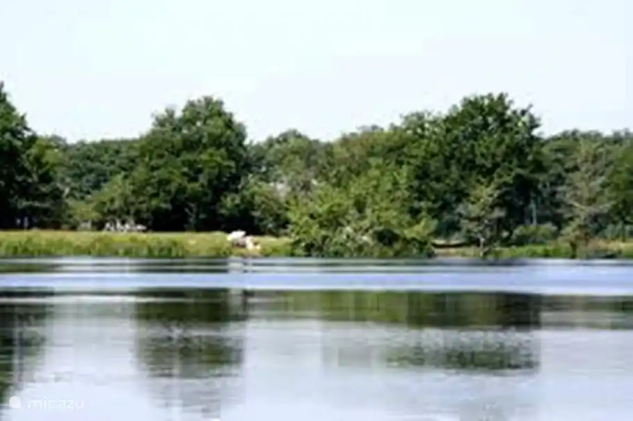 Wyldemark, 800 Meter von unserem Haus entfernt