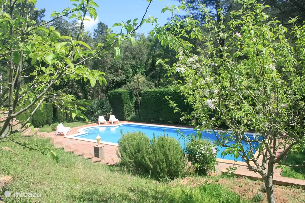Fantastische großen privaten Swimmingpool (12x6x2 m3), komplett mit Blick auf Berge und Wald ruhig.