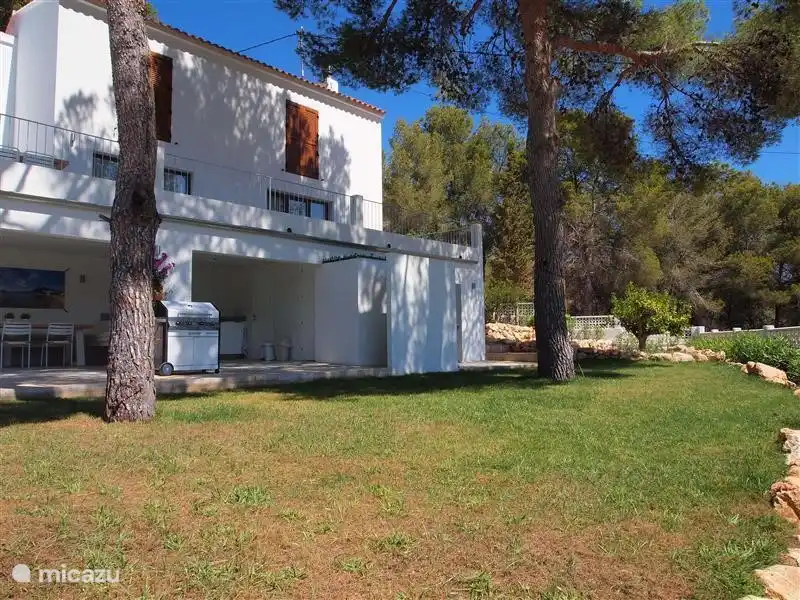 Das grüne Gras leidet unter der starken Sonne, aber die spanische Gras unterhalb (Programm) wächst in Ordnung.