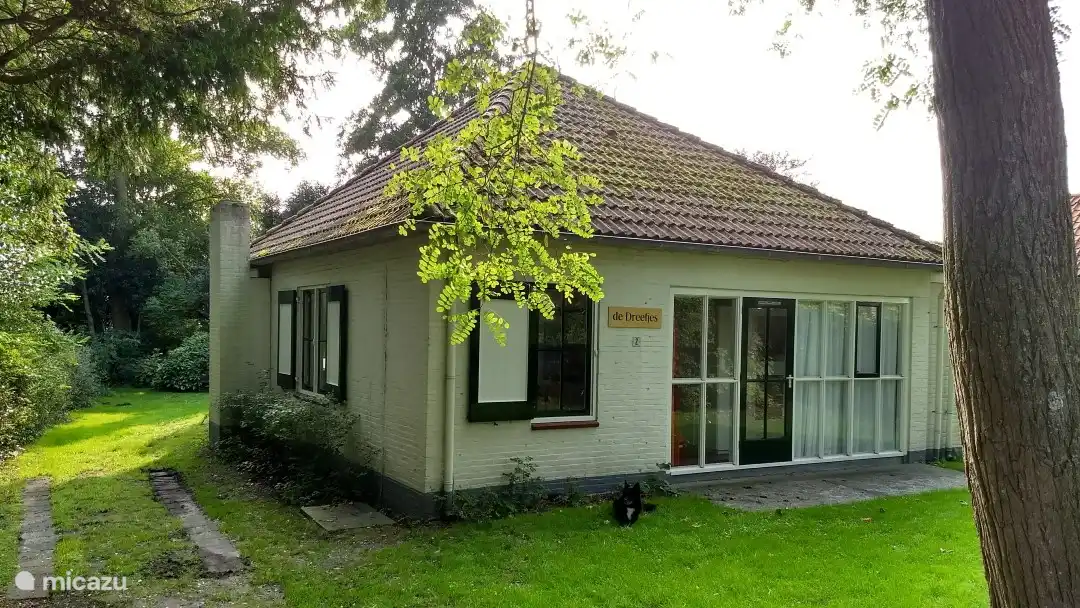 ferienhaus, Renesse, Zeeland, Niederlande - De Dreefjes
