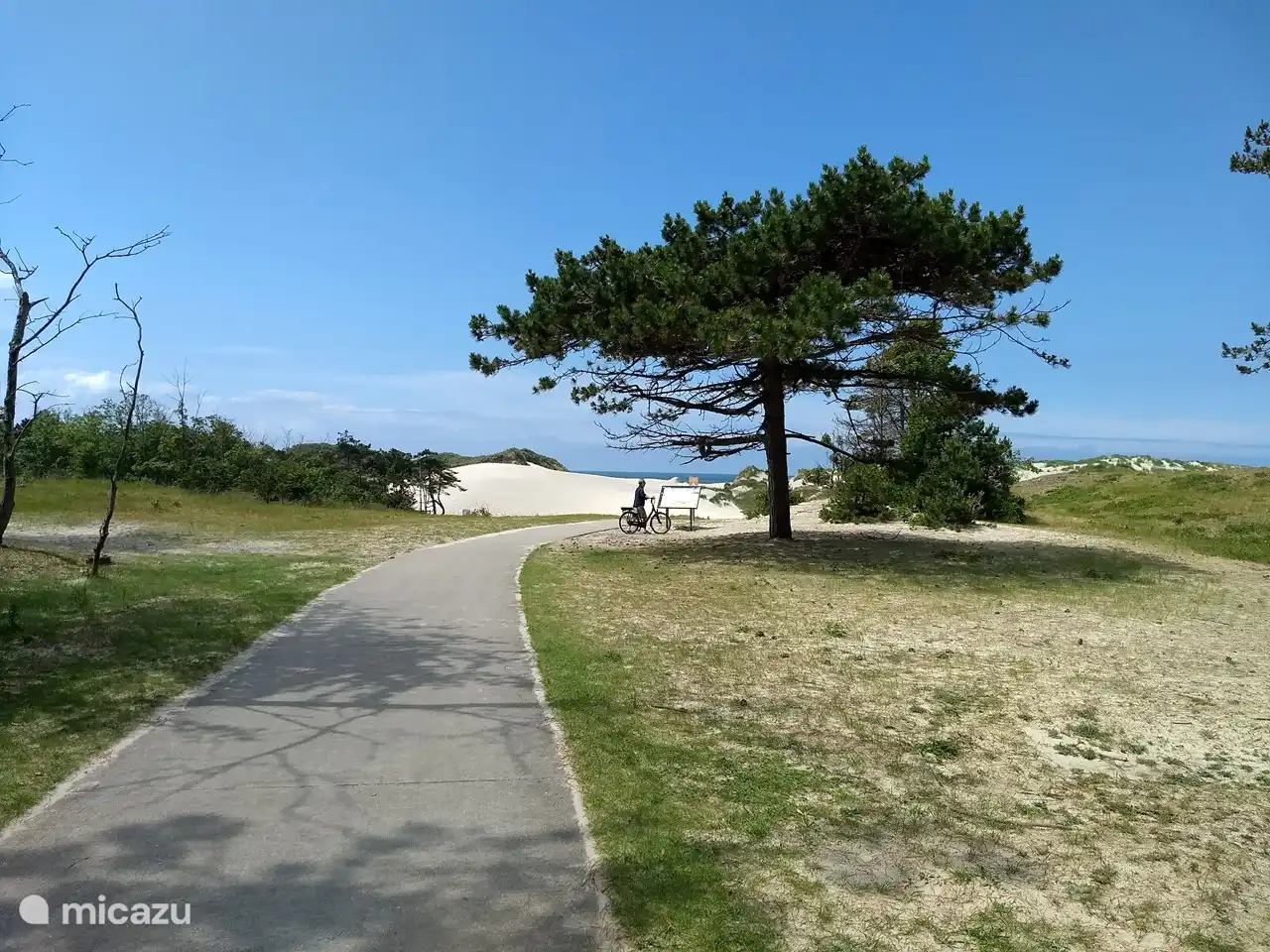 Forstwirtschaft Westerschouwen