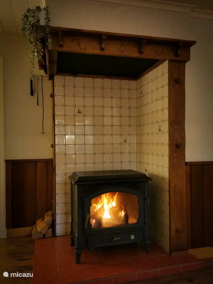 ein attraktiver Kaminofen sorgt für angenehme Wärme, wenn es etwas kälter ist.