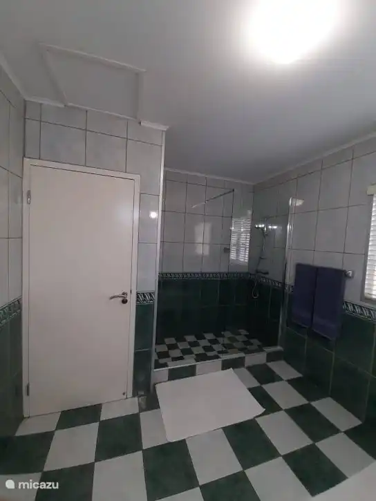 badkamer1 op de begane grond 