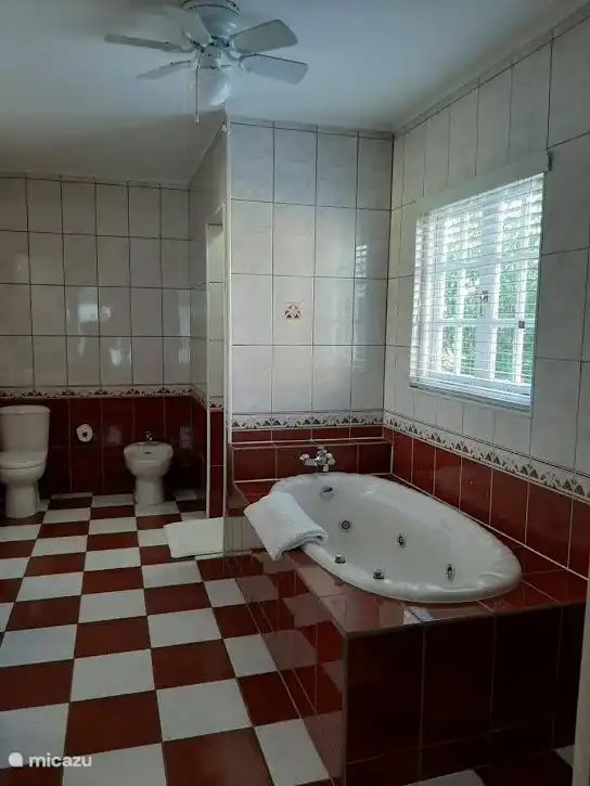 Badkamer 2 met ligbad, bidet, inloopkast en kluis