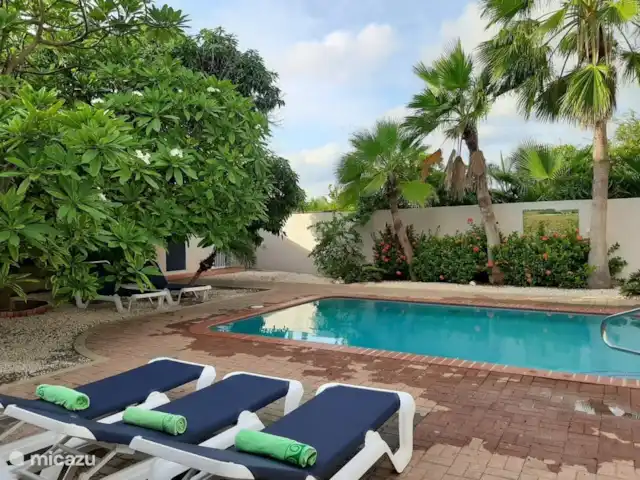 Location de Vacances Aruba, Oranjestad, Oranjestad, villa - Villa-Bubali Cour arrière avec piscine illuminée et 8 chaises longues