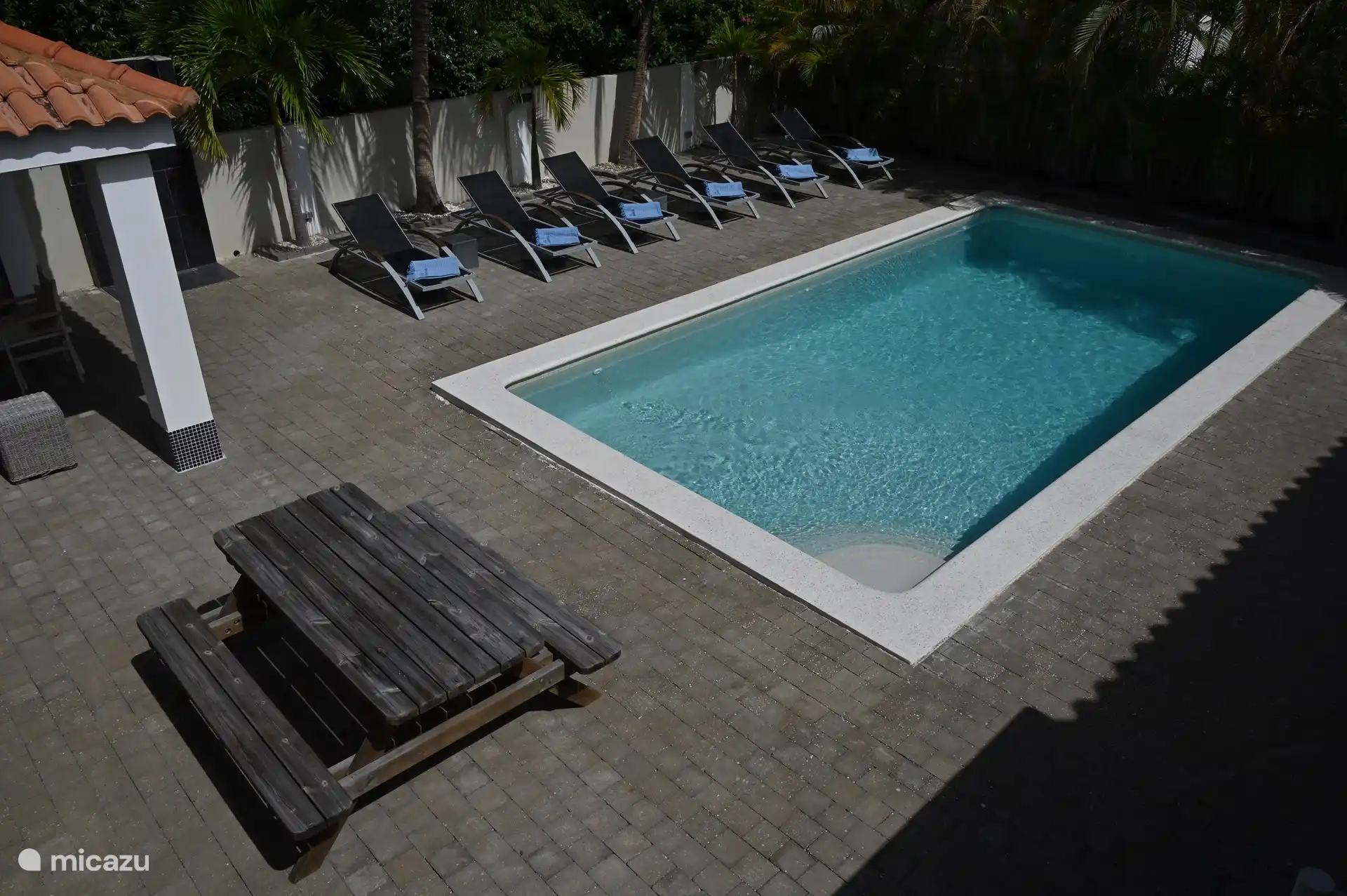 Schwimmbadrenovierung Januar 2024 