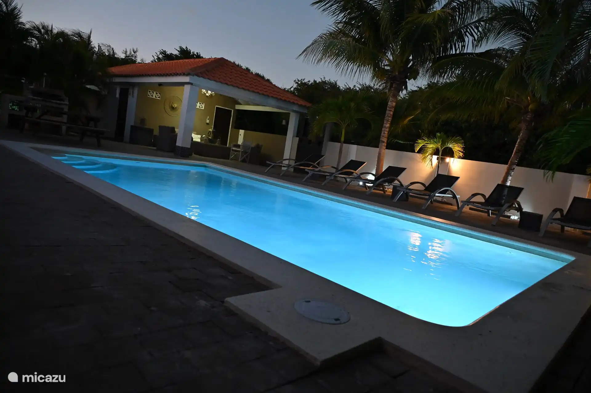 Pool und Garten beleuchtet 