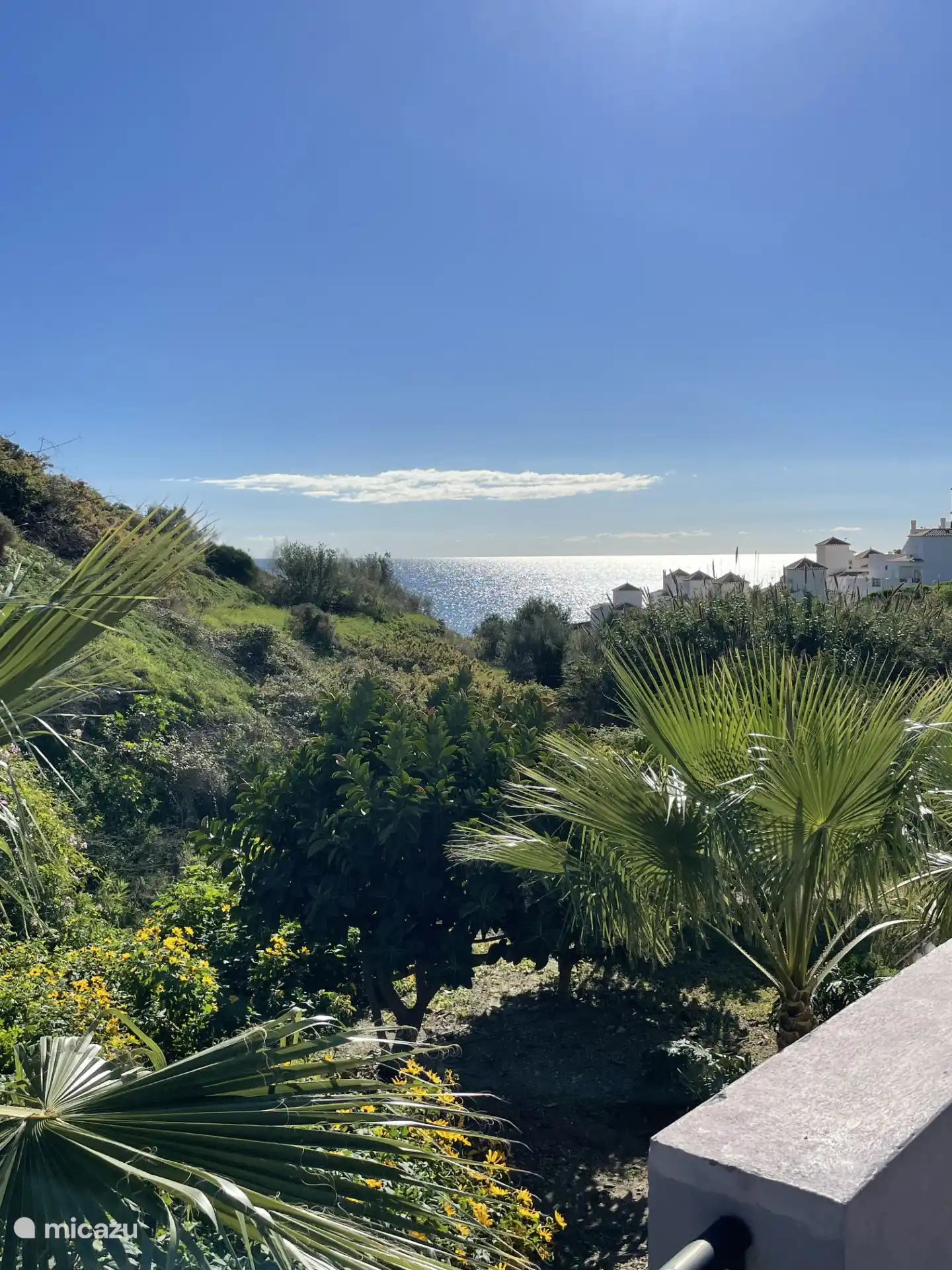 View from terrace