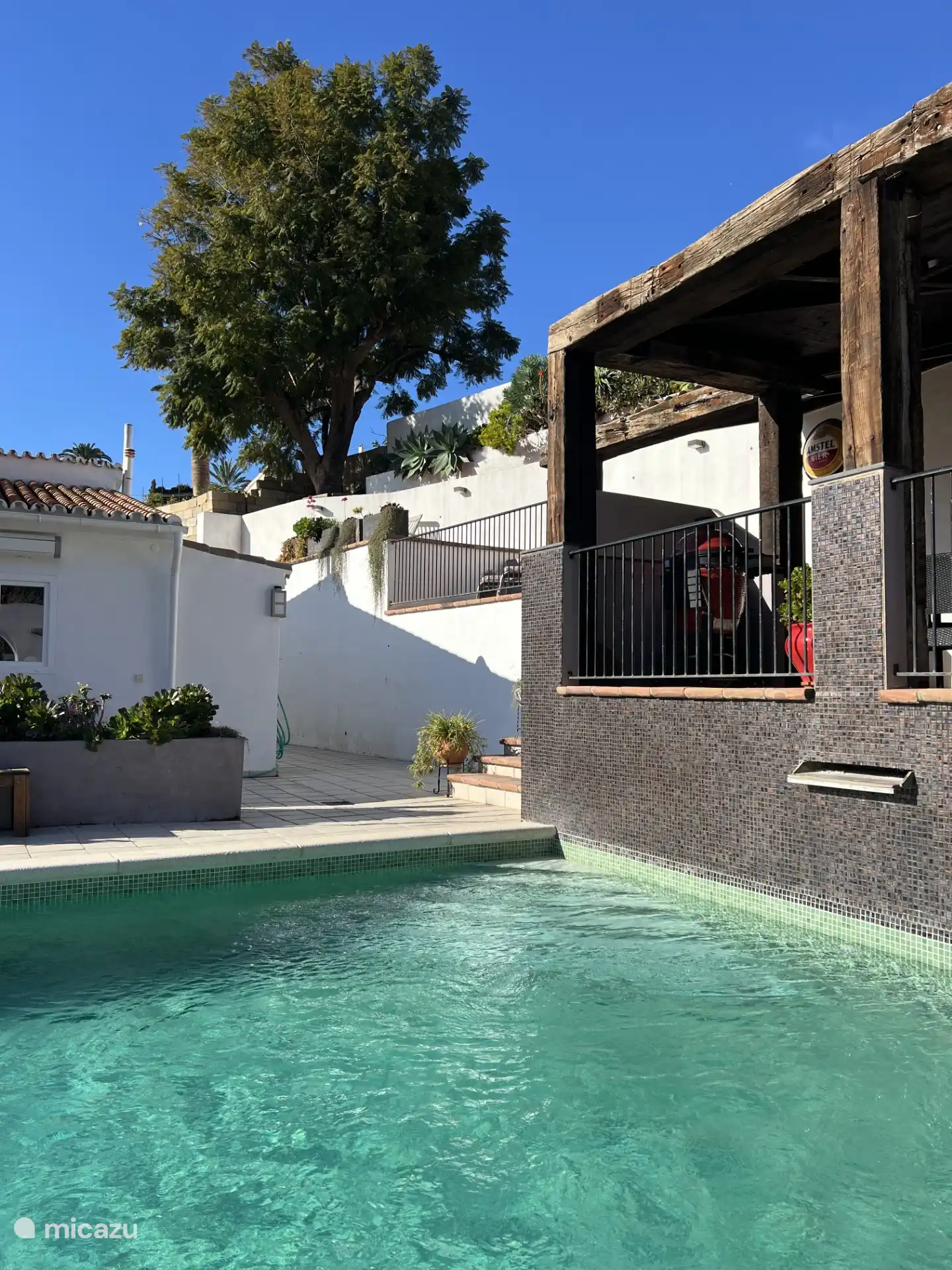 swimming pool and terrace