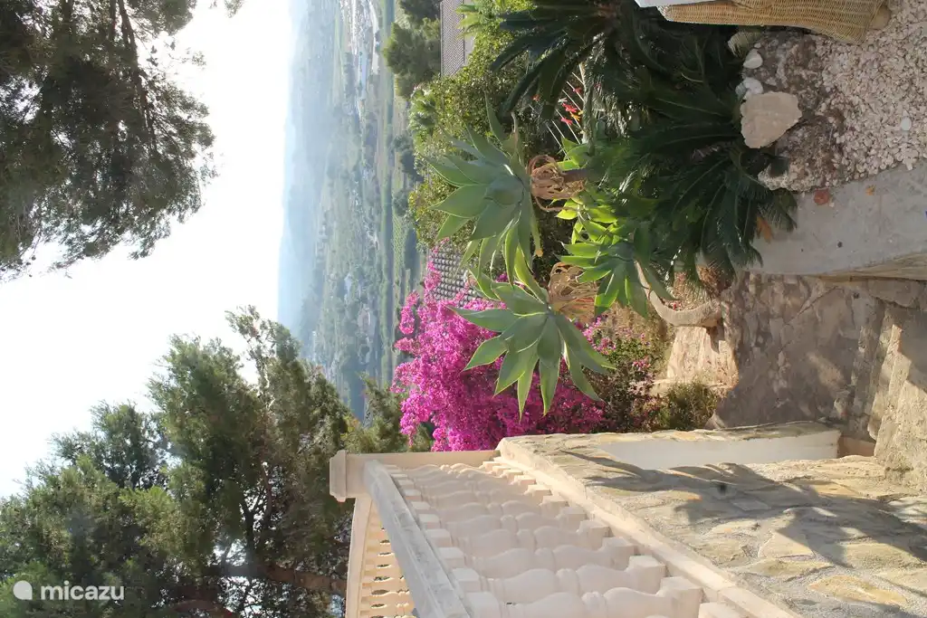 Belle vue et escaliers vers les orangers, les mandariniers et les citronniers, parmi lesquels les locataires de Casa Emily peuvent choisir (le cas échéant).