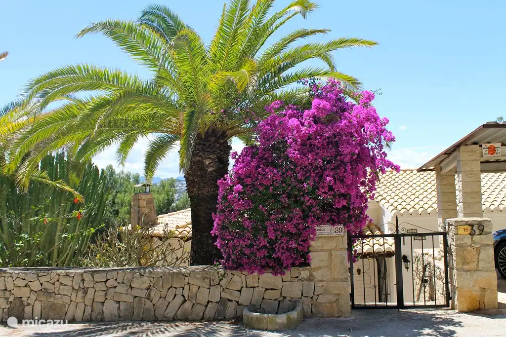 Belles Buganvllias à l'entrée de la maison.