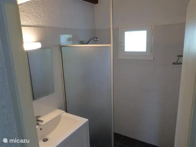 Badezimmer mit Dusche, Waschbecken und Heizung.