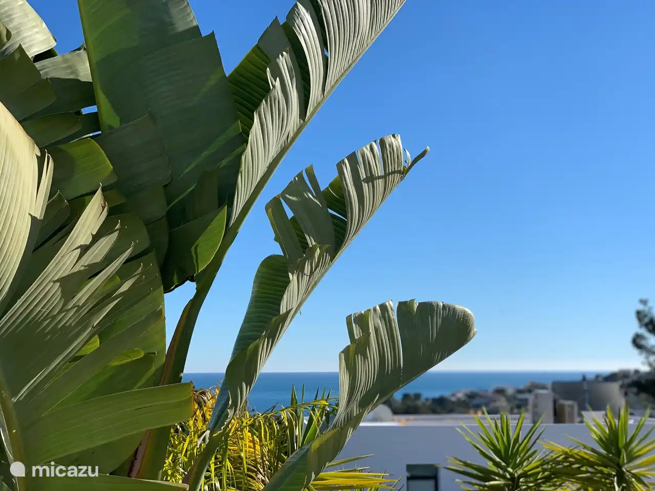 Morgen Dusche im Bad mit diesem erstaunlichen Ansicht -> Grün des Gartens und das Meer. Schöne noch aufwachen?