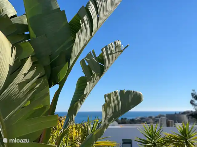 casa la fustera en España, Costa Blanca, Calpe - villa Ducha por la mañana en el baño en suite con una vista fantástica -> verde del jardín y el mar. Despertar maravillosamente, ¿no es así?