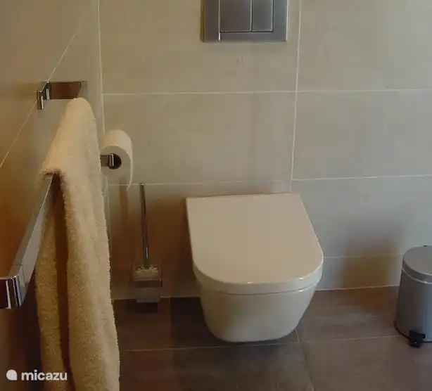 Hängende Toilette im en-suite Badezimmer im Erdgeschoss.