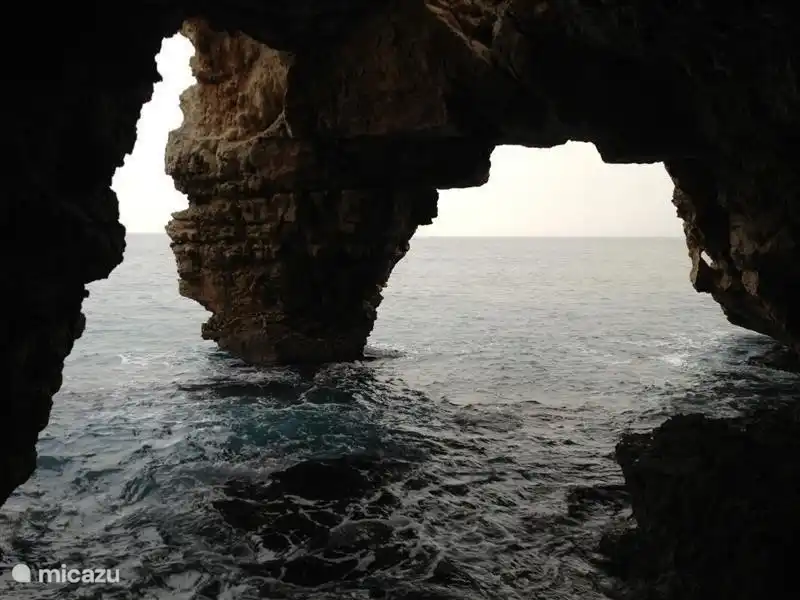 Felsen an der Playa del Granadella (Javea).