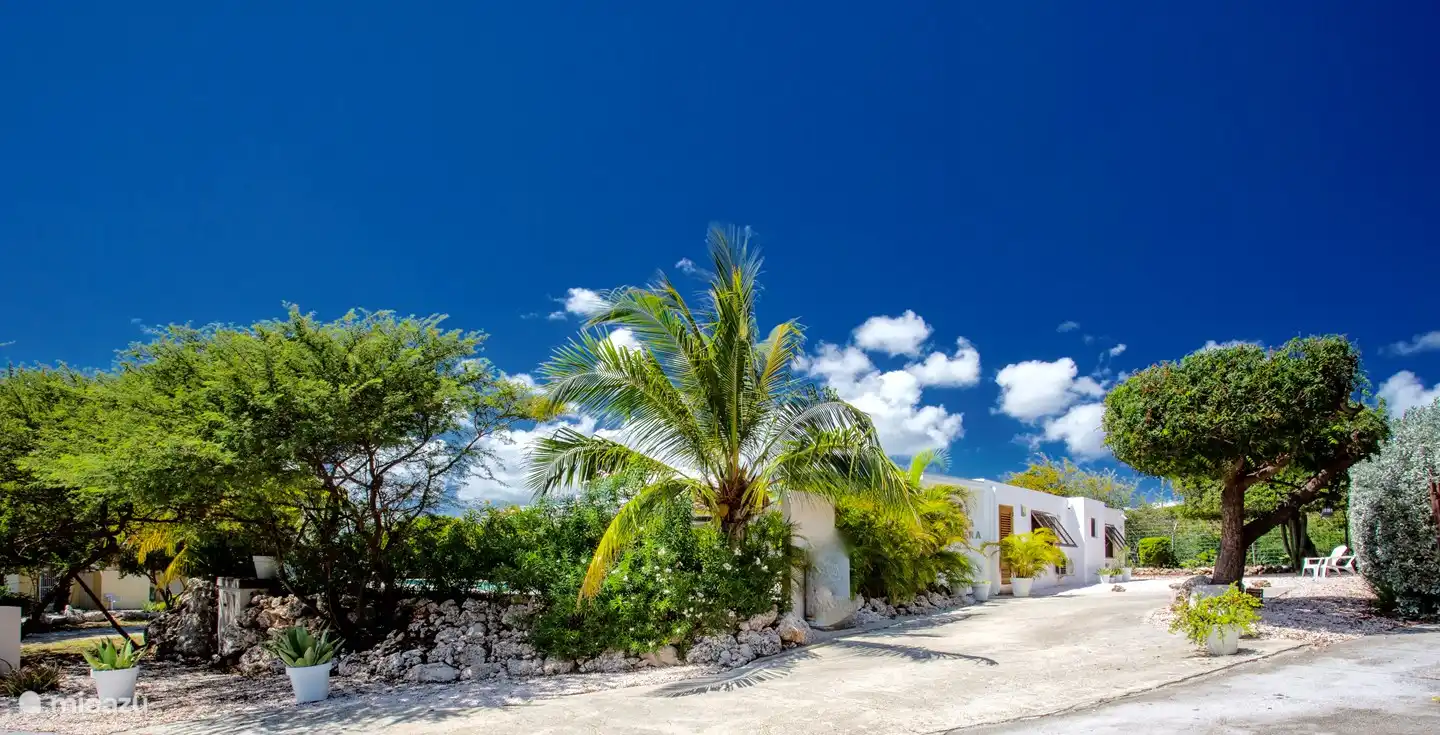 Geräumige Auffahrt mit Platz für 2 Autos