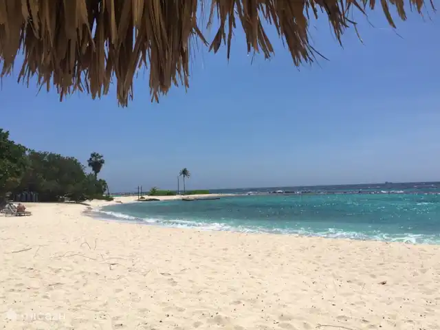 Villa Piscadera | Curaçao, Curaçao-Centre, Piscadera - villa Plusieurs plages accessibles à pied