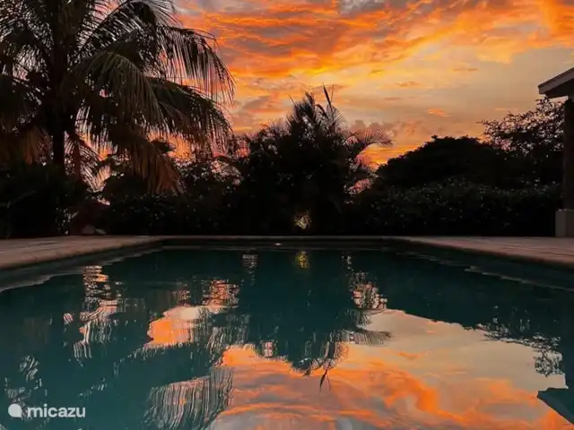 Villa Piscadera | Curaçao, Curaçao-Centre, Piscadera - villa Coucher de soleil à la piscine