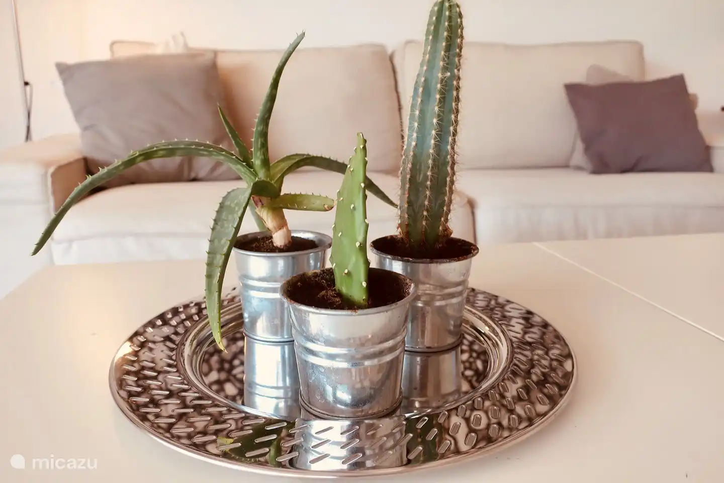 Gemütliches Wohnzimmer