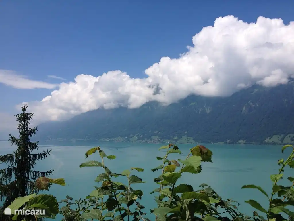 Ons dorp Oberried gezien vanaf de andere kant van het meer, van de beroemde Giessbachwatervallen.