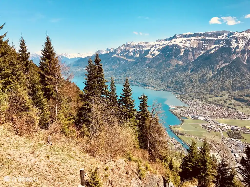 Uitzicht vanaf de Harder, de huisberg van Interlaken
