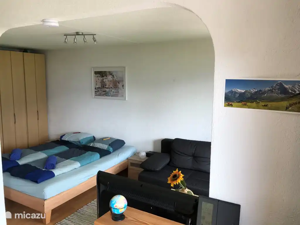 Woon- en slaapgedeelte