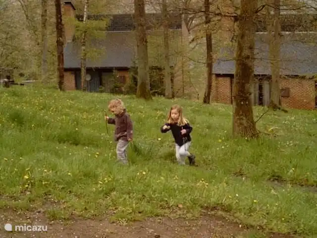 Location de Vacances Belgique, Ardennes, Blaimont, bungalow - Gîte du Domaine du Bonsoy Jouer dans les bois à côté de la maison