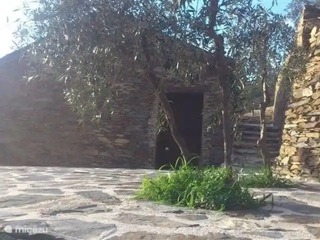 Foz dos Barreiros | Portugal, Coimbra, Piódão - gîte / cottage Terrasse avec oliviers.
